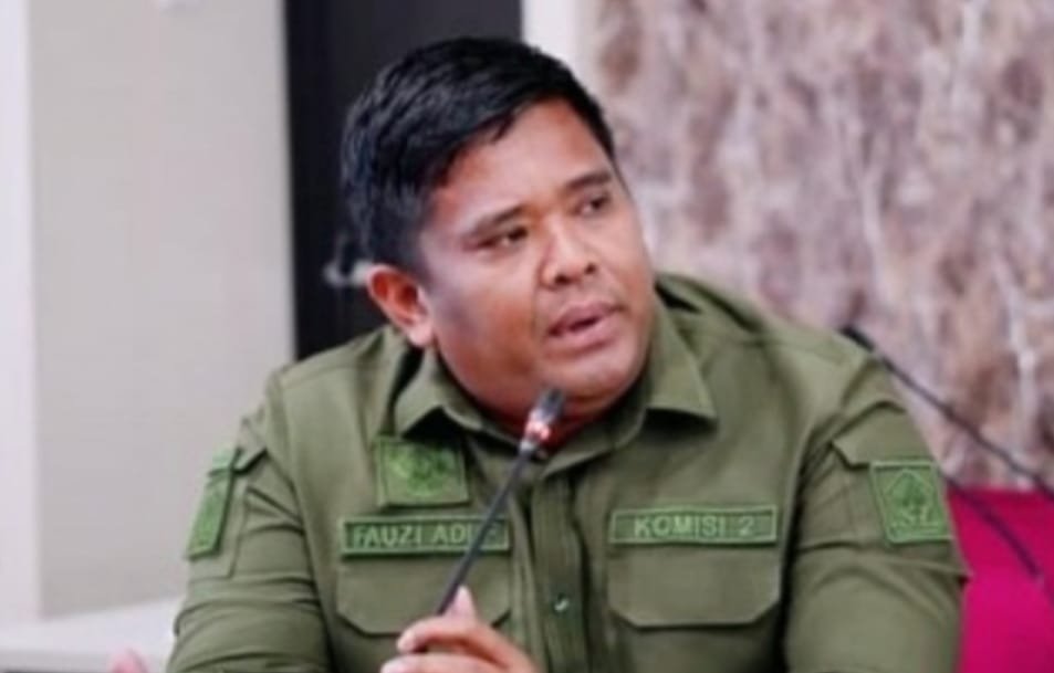 Ketua Komisi II DPRD Balikpapan, Fauzi Adi.