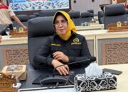 DPRD Kaltim Respons Usulan Penangkaran Buaya di Labuan Cermin